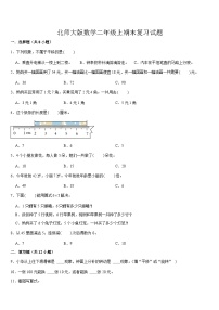 期末复习试题（试题）-2024-2025学年二年级上册数学北师大版(02)