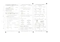 河北省邢台市巨鹿县片区三校联考2024-2025学年三年级上学期11月月考数学试题