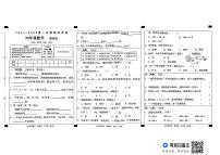 河北省邢台市威县第四小学2024-2025学年四年级上学期期中数学试题