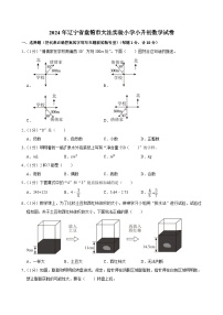 辽宁省盘锦市大洼实验小学2023-2024学年六年级下学期期末数学试卷