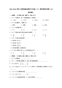 2023-2024学年上海市浦东新区六年级（上）期中数学试卷（五四学制）