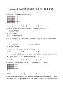 山东省青岛市城阳区2024-2025学年六年级上学期期中数学试卷