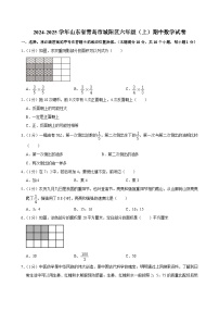 山东省青岛市城阳区2024-2025学年六年级上学期期中数学试卷