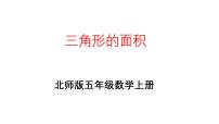 北师大版（2024）五年级上册4 探索活动：三角形的面积课文配套课件ppt