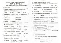 广东省茂名市化州市2024-2025学年四年级上学期期中数学试题