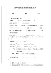 湖南省长沙市宁乡市西部乡镇2024-2025学年五年级上学期11月期中数学试题