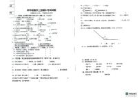 辽宁省葫芦岛市绥中县西平坡乡中心小学2024-2025学年四年级上学期11月期中数学试题