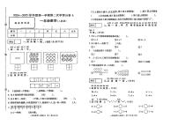 河南省周口市沈丘县多校2024-2025学年一年级上学期期中数学试题