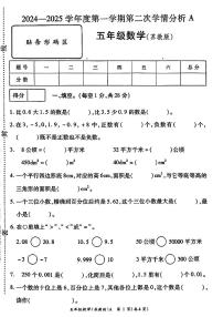 河南省周口市鹿邑县2024-2025学年五年级上学期期中考试数学试题