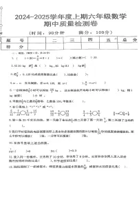 河南省信阳市罗山县2024-2025学年六年级上学期11月期中数学试题