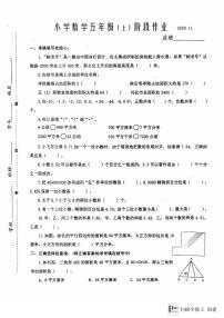 江苏省泰州市兴化市2024-2025学年五年级上学期期中数学试题