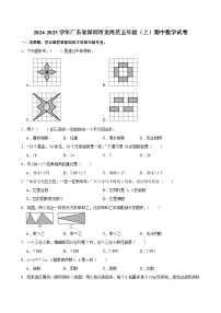 广东省深圳市龙岗区2024-2025学年五年级上学期期中数学试卷