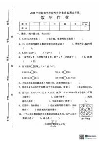 河南省南阳市唐河县2024-2025学年五年级上学期11月期中考试数学试题