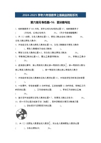 第六单元专练篇·16：百分数与比-2024-2025学年六年级数学上册典型例题系列（原卷版+解析版）人教版