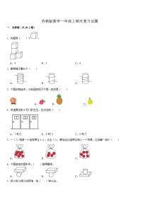 期末复习试题（试题）-2024-2025学年一年级上册数学苏教版