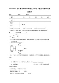 2022-2023学年广东省深圳市罗湖区六年级下册期中数学试卷及答案