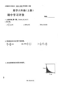 福建省泉州市晋江市多校2024-2025学年六年级上学期期中数学试题