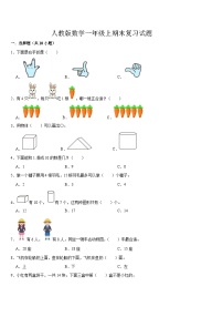 期末复习试题（试题）-2024-2025学年一年级上册数学人教版