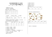 冀教版（2024）三年级下册五 数据的收集与整理习题