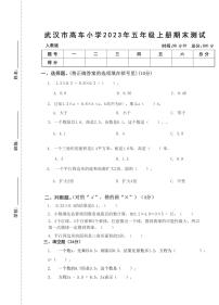 湖北省武汉市黄陂区武湖高车小学2023-2024学年五年级上学期期末测试数学试题