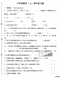 山东省济宁市邹城市2024-2025学年六年级上学期期中数学试题