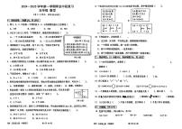 广东省深圳市宝安区多校2024-2025学年五年级上学期期中数学试题