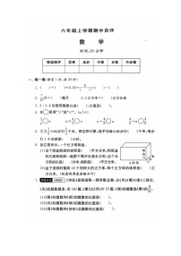 河南省新乡市新乡县朗公庙镇赵堤小学2024-2025学年六年级上学期11月期中数学试题