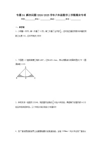 专题04解决问题（专项练习）-2024-2025学年六年级上册数学人教版