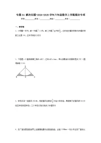 专题04解决问题（专项练习）-2024-2025学年六年级上册数学人教版