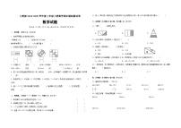 期末练习卷（试题）2024-2025学年人教版三年级上册数学