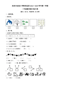 2024-2025学年福建省龙岩市新罗区实验小学教育组团人教版一年级上册期中测试数学试卷（原卷版）-A4