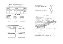 上海市嘉定区多校联考2024-2025学年四年级上学期第二次月考数学试题