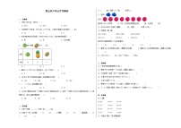 第5至6单元月考检测（试题）-2024-2025学年三年级上册数学人教版