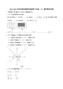 河南省南阳市宛城区2024-2025学年六年级上学期期中数学试卷