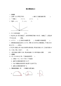 期末模拟练习（试题）-2024-2025学年四年级上册数学青岛版