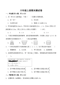 期末测试卷（试题）-2024-2025学年六年级上册数学北师大版