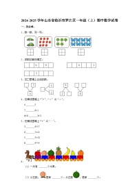 山东省临沂市罗庄区2024-2025学年一年级上学期期中数学试卷