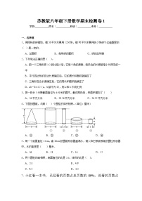 期末检测卷（试题）-2023-2024学年苏教版六年级下册数学