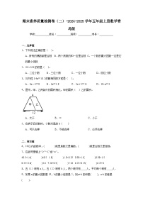 期末素养质量检测卷（试题）-2024-2025学年五年级上册数学青岛版