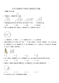 期末复习试题（试题）-2024-2025学年六年级上册数学北师大版