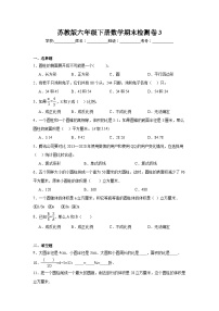 期末检测卷（试题）2024-2025学年六年级下册数学苏教版