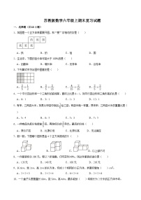 期末复习试题（试题）-2024-2025学年六年级上册数学苏教版