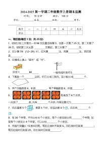 期末培优 高频易错押题卷 2024-2025学年 二年级数学上册  苏教版