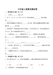 期末测试（试题）2024-2025学年六年级上册数学北师大版