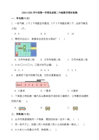 期末复习试题（试题）-2024-2025学年二年级上册数学北京版