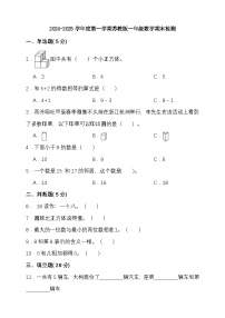 期末复习试题（试题）-2024-2025学年一年级上册数学 苏教版