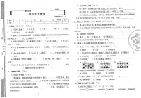2024年秋季四年级上册数学人教版试卷_单元+专项+期中+期末（pdf版）