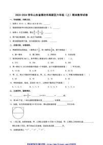 2023～2024学年山东省潍坊市高新区六年级(上)期末数学试卷(含答案)