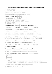 2023-2024学年山东省潍坊市高新区六年级（上）期末数学试卷