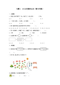 专题训练1 20以内数的认识（数与代数）-一年级上册数学寒假专项提升（北师大版）